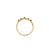 Crown of Sky Black Diamond Ring - 14k Gold Twig Band