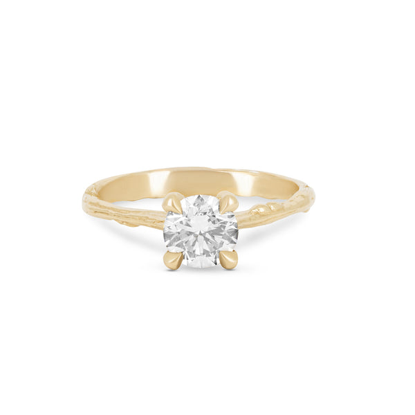 Sparkle 1ct Diamond Engagement Ring - 14k Gold Twig Band