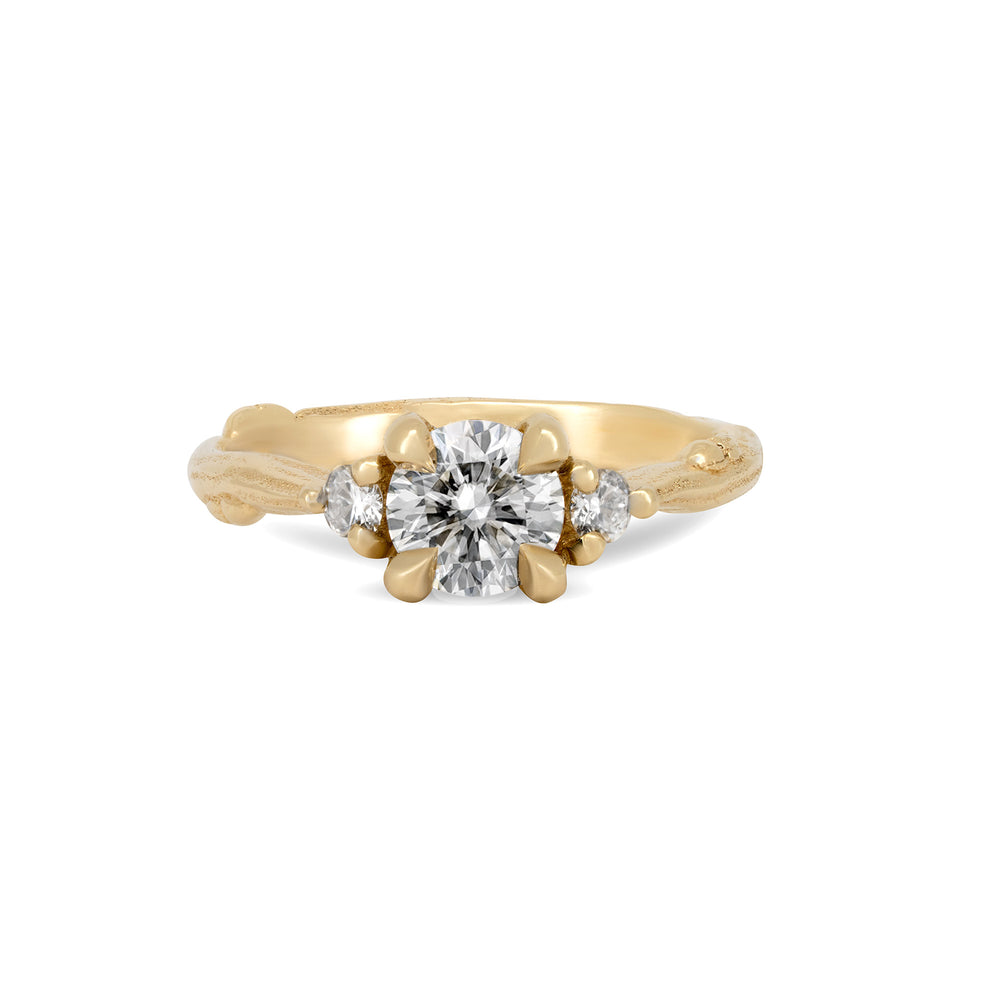 You, Me & Magic 1ct Diamond Engagement Ring - 14k Gold Twig Band